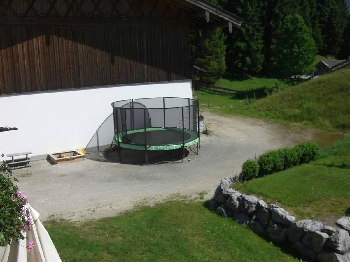 Ferienwohnung Berghof Wallgau 0*,  Deutschland